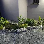 Sunny House